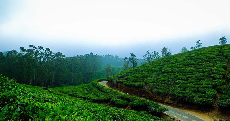 Munnar